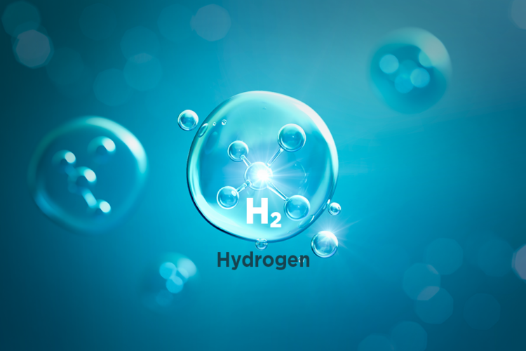 Hydrogen Atoms in Molecules